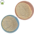 Natural Freeze Dried Aloe Vera Extract Powder